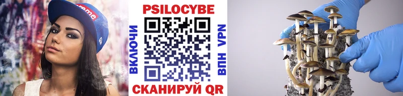Псилоцибиновые грибы Psilocybine cubensis Элиста