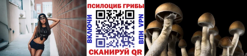Купить закладки  Элиста  Псилоцибиновые грибы мухоморы 