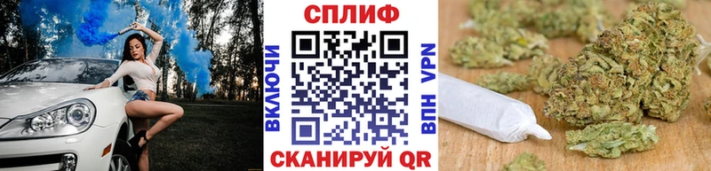Купить закладки  Элиста  Канабис индика 